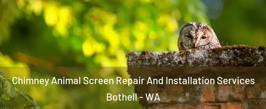  Chimney Animal Screen Repair And Installation Services Bothell - WA