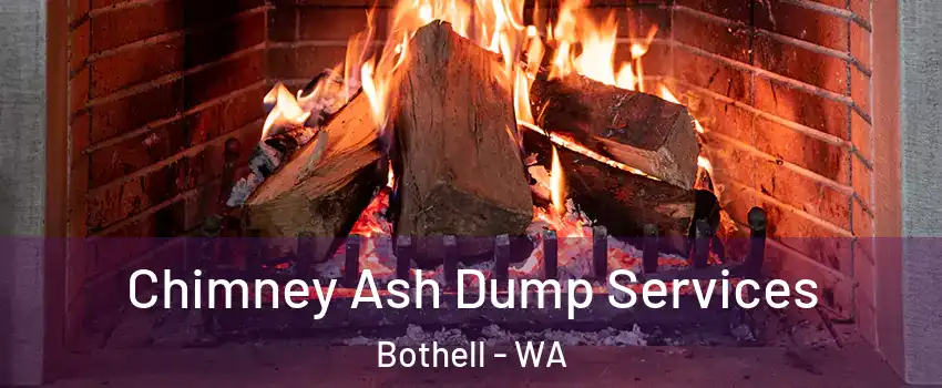  Chimney Ash Dump Services Bothell - WA