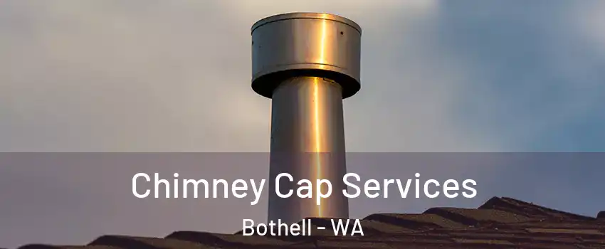  Chimney Cap Services Bothell - WA