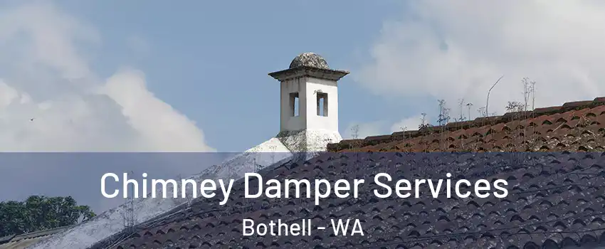  Chimney Damper Services Bothell - WA