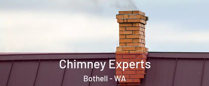 Chimney Experts Bothell - WA