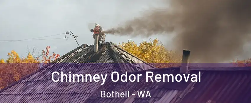  Chimney Odor Removal Bothell - WA