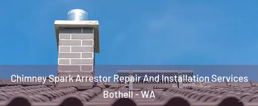  Chimney Spark Arrestor Repair And Installation Services Bothell - WA