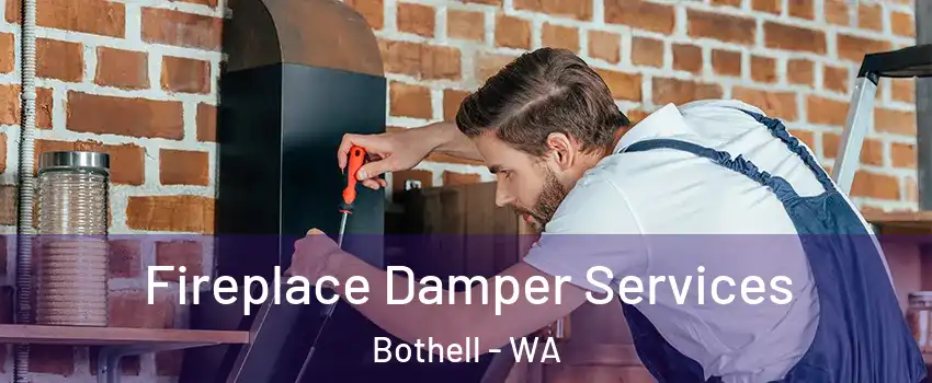  Fireplace Damper Services Bothell - WA