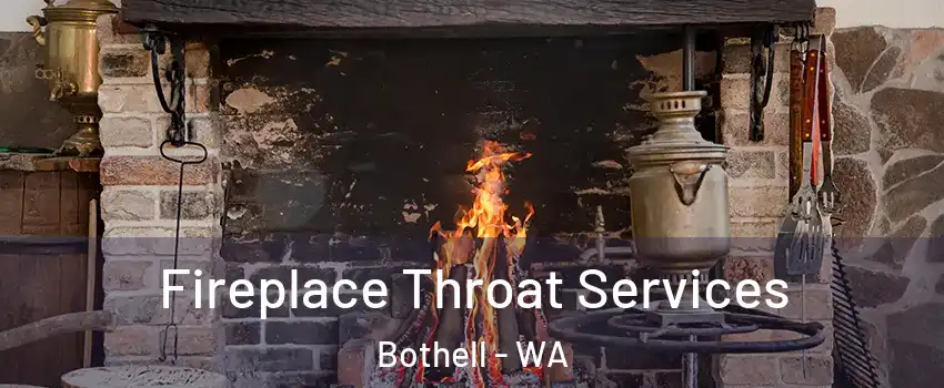  Fireplace Throat Services Bothell - WA