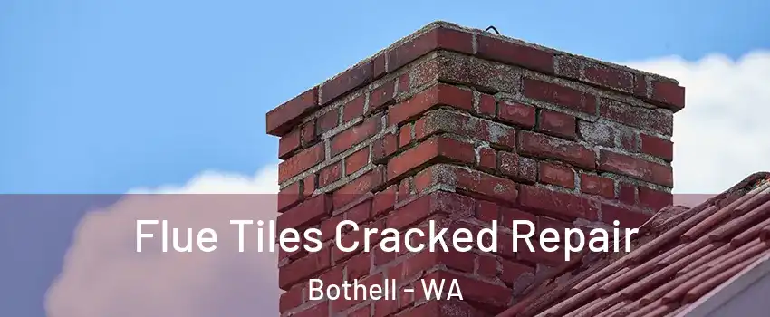  Flue Tiles Cracked Repair Bothell - WA