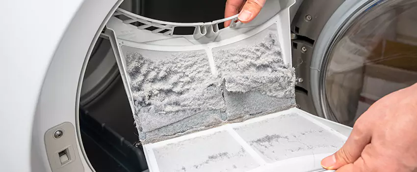Best Dryer Lint Removal Company in Bothell, Washington