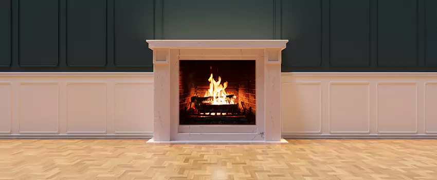 Napoleon Electric Fireplaces Inspection Service in Bothell, Washington