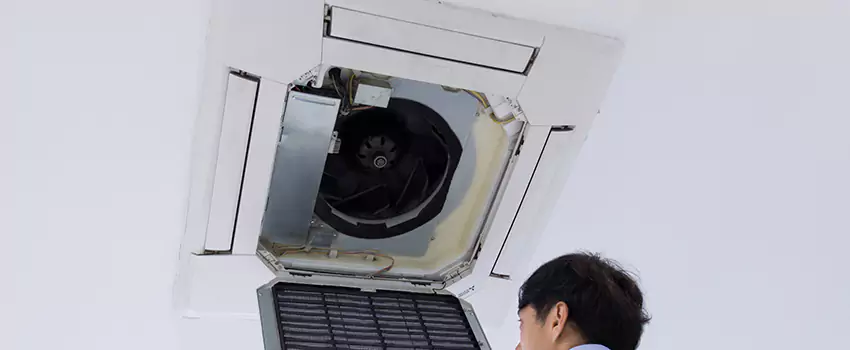 Benefits of Professional Air Duct Cleaning in Bothell, Washington