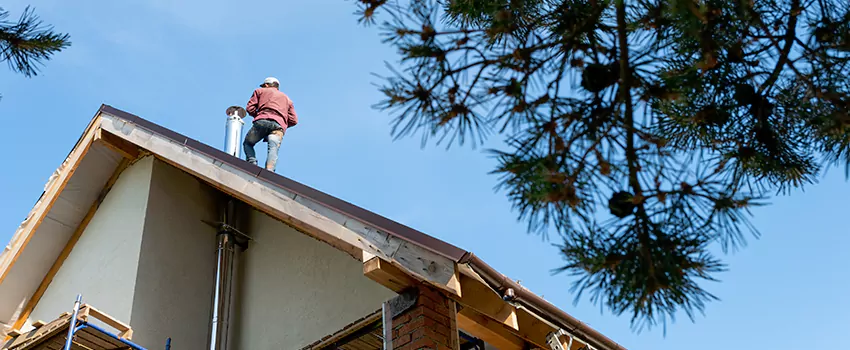 Birds Removal Contractors from Chimney in Bothell, WA