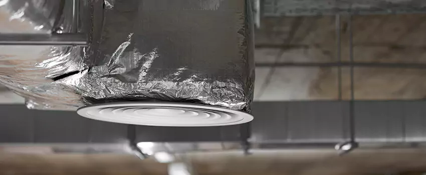 Signs of Dust Accumulation in Vents in Bothell, WA