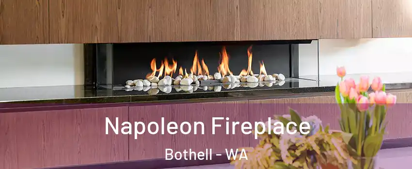  Napoleon Fireplace Bothell - WA