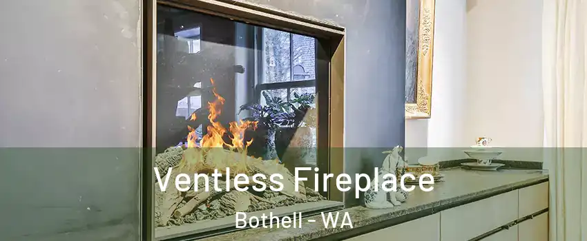  Ventless Fireplace Bothell - WA
